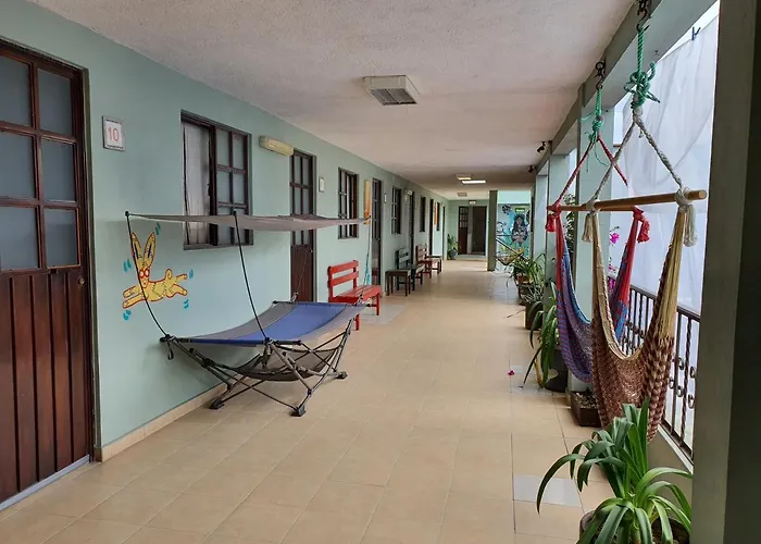 Hierba De Conejo Hostel