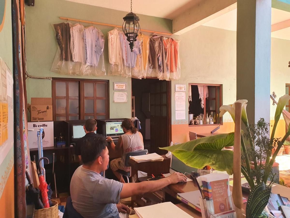 Hierba De Conejo Hostel Oaxaca