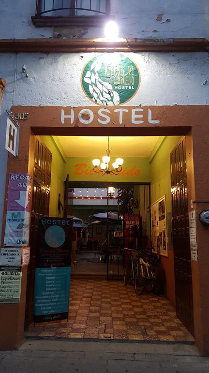 Hierba De Conejo Hostel Oaxaca