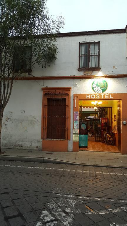 Hostel Hierba De Conejo Oaxaca