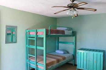 Hierba De Conejo Hostel Oaxaca