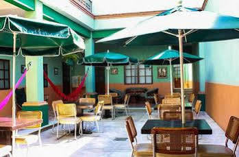Hierba De Conejo * Oaxaca